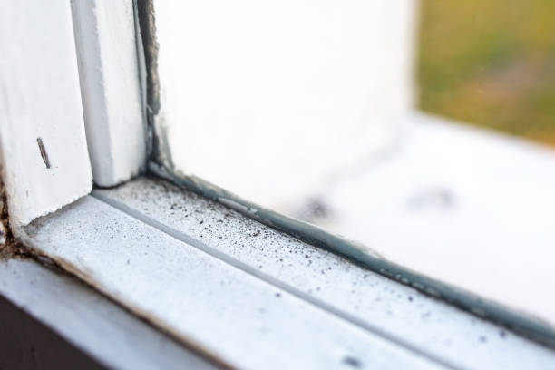 Best Indoor Air Quality Assessment  in Debary, FL