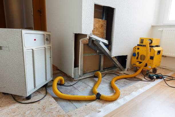 Best HVAC Mold Inspection and Cleaning  in Debary, FL