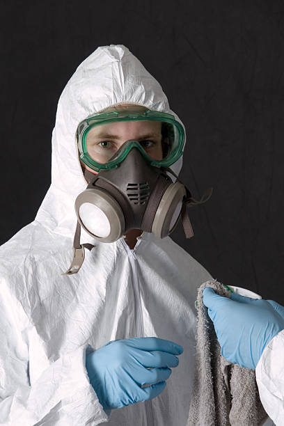 Best Mold Odor Removal Services  in Debary, FL